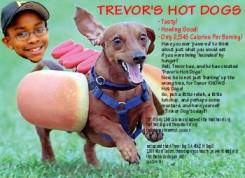PirateAds-TrevorHotDog.jpg